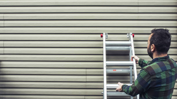 Best Historical Building Siding Restoration  in Hart, MI