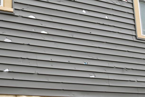 Best Aluminum Siding Installation  in Hart, MI