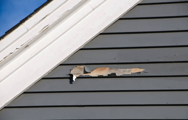 Best Custom Siding Design  in Hart, MI