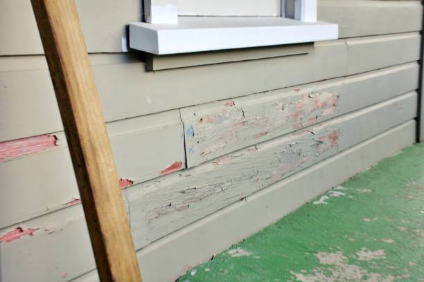 Trusted Hart, MI Siding Installation & Repair Experts